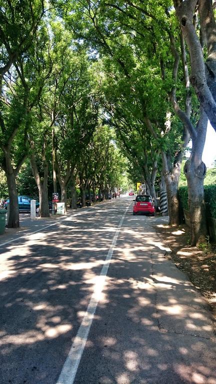 Apartment Borik Beach 86 Zadar Rom bilde